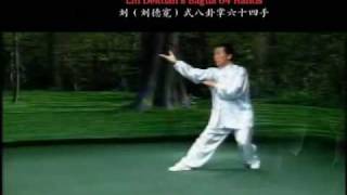 Liu Style Baguazhang  64 Hands 刘氏八卦掌  六十四手 [upl. by Nimrahc988]