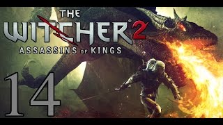 Witcher 2 Playthrough PC  Part 14  Kayran  A Matter Of Price [upl. by Mcclenaghan126]