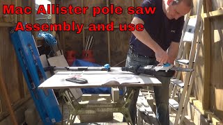 Mac Allister 750 Watt 20CM Pole saw MPS750S2 HKPCS06D05X review amp it in action [upl. by Demeter230]