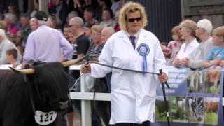 Turriff Show Highlights [upl. by Hakkeber]