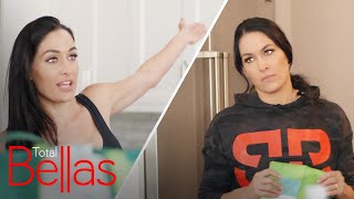 Brie amp Nikki Bella Argue Over Living Together  Total Bellas  E [upl. by Lilybel407]