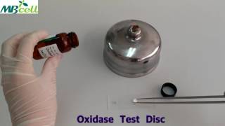 Oxidase Test Disc [upl. by Akinat721]