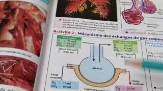 Les échanges gazeux [upl. by Morna]