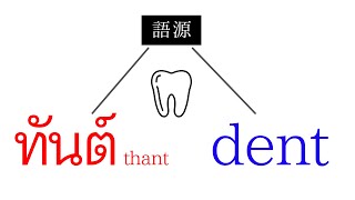 密かにつながる英語とタイ語【語源】 [upl. by Ailb862]