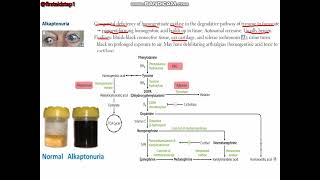 Maple syrup urine disease Alkaptonuria [upl. by Clayson]