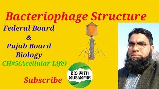 Bacteriophage Structure Federal and Punjab Board Biology CH5 Acellular LifeFSc1st Year [upl. by Barthold]