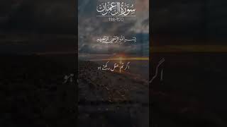 Sura aale Imranverses118 to 120translation holybook youtubeshorts [upl. by Enelehcim759]