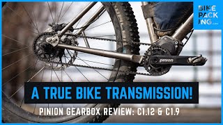 A True Bike Transmission Pinion Gearbox Review P112 amp C19xr [upl. by Notsla]