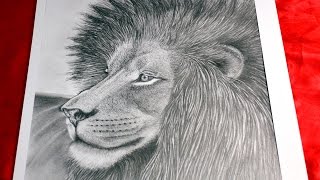 Art Lesson How to Draw a Lion with Graphite Pencils [upl. by Vacla431]