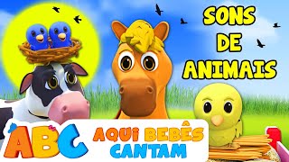 APRENDA OS SONS DOS ANIMAIS  Vídeos do jardim de infância  Aqui Bebês Cantam [upl. by Eylsel]