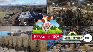 La ferme le ROC producteur de fromage AOP Saint Nectaire BIO un modèle fermier mais entreprise [upl. by Aggappora284]