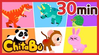 30 min de Dinosaurios y Animales  Van al Baño  Canciones Infantiles  ChitaBú [upl. by Laws]