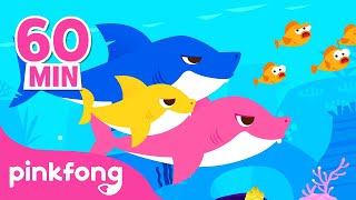 Baby Shark Song  Baby Shark Doo Doo Doo  Nursery Rhymes amp Music for Babies by Little Treehouse [upl. by Drisko]