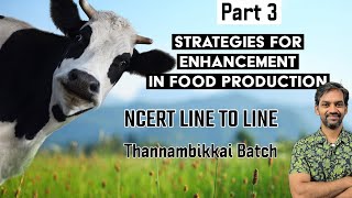 Strategies for enhancement in Food Production  Part 3  NCERT LINE TO LINE  Thannambikkai Batch [upl. by Eidde]