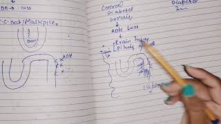 Central diabetes insipidus and nephrogenic diabetes insipidus guyton 29 renalphysiology [upl. by Ayotak]