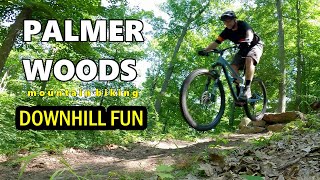 Palmer Woods Mountain Bike Trail  Some of the BEST Downhills in Lower Michigan [upl. by Llenyaj250]