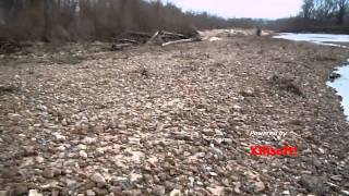 Missouri Arrowheads  Kramers in the Creek  Arrowhead Hunting [upl. by Spark881]