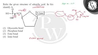 Refer the given structure of adenylic acid In this Page no 107 identify A [upl. by Animsaj]