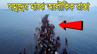 সমুদ্রের মাঝখান দিয়ে কিভাবে তৈরি হয় এই অলৌকিক রাস্তা  Jindos Mysterious Sea Route  Bengali [upl. by Parent]