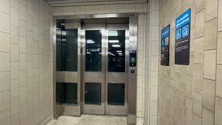 All Four Elevators at TTC Davisville Subway Station 2162023 [upl. by Guerin742]