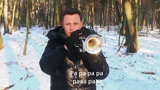 Rafał Dubicki  Z kopyta kulig rwie Skaldowie Trumpet Cover [upl. by Lolanthe]