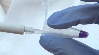 Pipetting small volumes [upl. by Airekat]