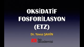 tipakademisicom Fakülte Biyokimya Video Paketi  Elektron Transport Zinciri ETZ [upl. by Ziegler]