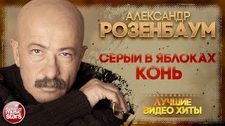 АЛЕКСАНДР РОЗЕНБАУМ ✪ СЕРЫЙ В ЯБЛОКАХ КОНЬ ✪ LIVE ✪ ALEXANDER ROZENBAUM ✪ A DAPPLED GREY HORSE [upl. by Nisaj78]