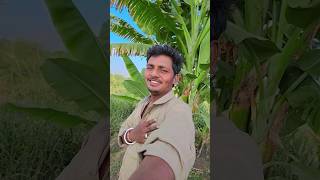 Tere bina dil na lage shorts hindisong youtubeshorts sukkureactcomedyshorts shortvideo songs [upl. by Notpmah787]