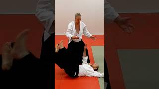 Aikido technique KOKYUHO on some grab and strike attacks by Stefan Stenudd [upl. by Notselrahc]