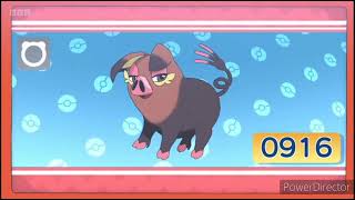 Oinkologne Pokédex Entrywmv [upl. by Pomfret]