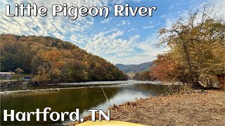 Fall Little Pigeon River Hartford Tennessee ASMR [upl. by Amoeji655]