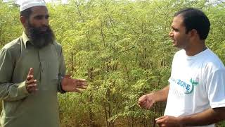 Moringa Grower in Pakistan visited Herbyzone Marketing Team 03334120090 03460049624 03000997462 [upl. by Suzanne]