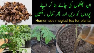 How To Make Magical Tea for Plants  Homemade fertilizer tea for plants  Exilent liquid fertilizer [upl. by Mclyman]