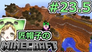 【マイクラ整地】匠帽子のマインクラフト！ 235【show】 [upl. by Marguerita351]