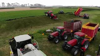 campbell contracting new zealand silage 2019 [upl. by Ahgiel955]