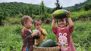 Giang Thi Ty 20 days of the difficult life of four single mothers and children [upl. by Yednarb]