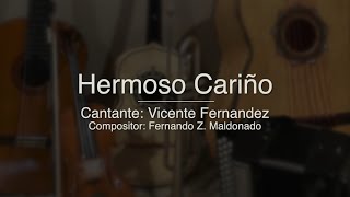 Hermoso Cariño  Puro Mariachi Karaoke  Vicente Fernandez [upl. by Anrol214]