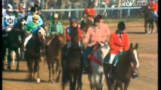 1978 Kentucky Derby  Affirmed vs Alydar [upl. by Ylen]