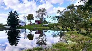 Ohio farm colorful late afternoon ⛅️ real time amp sounds 8 October 2024 [upl. by Htebaile38]