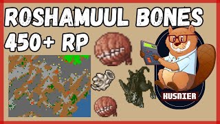 Roshamuul Bones East  450 Paladin  Tibia [upl. by Cornel]