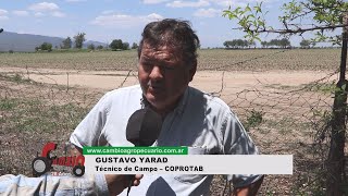 CAMBIO AGROPECUARIO Nº 1402  GUSTAVO YARAD  Recorredor de Campo – COPROTAB [upl. by Yesnek]