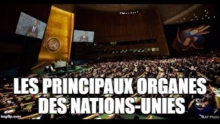 Les principaux organes des NationsUnies [upl. by Parnas]