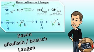 Basen und basische Lösungen Ammoniak reagiert mit Wasser [upl. by Jemie403]