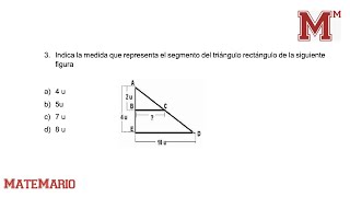 EXAMEN PLANEA Indica la medida que representa el segmento del triángulo rectángulo de la siguiente [upl. by Noryak]