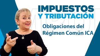 289 Obligaciones del Régimen Común ICA [upl. by Yesmar]