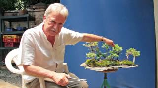 Como hacer un Saikei Bonsai o Paisaje sobre Roca [upl. by Verne]