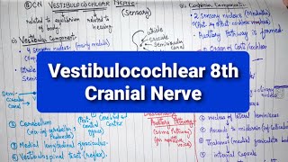 Vestibulocochlear Nerve  8th Cranial Nerve  Part 2  Neuroanatomy [upl. by Frum228]