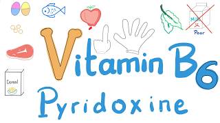 Vitamin B6 Pyridoxine  Diet and Nutrition Series [upl. by Leba]