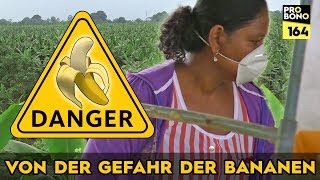 Die schmutzige Wahrheit über Bananen probono Magazin [upl. by Sueahccaz]